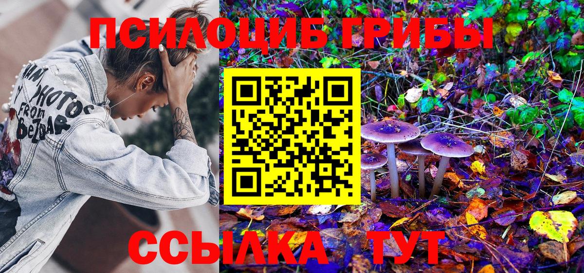 Галлюциногенные грибы MAGIC MUSHROOMS  Вход с VPN  Заринск  Псилоцибиновые грибы Psilocybe 